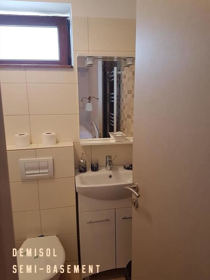Гостевой дом Pensiunea Geostar Куртя-де-Арджеш-32